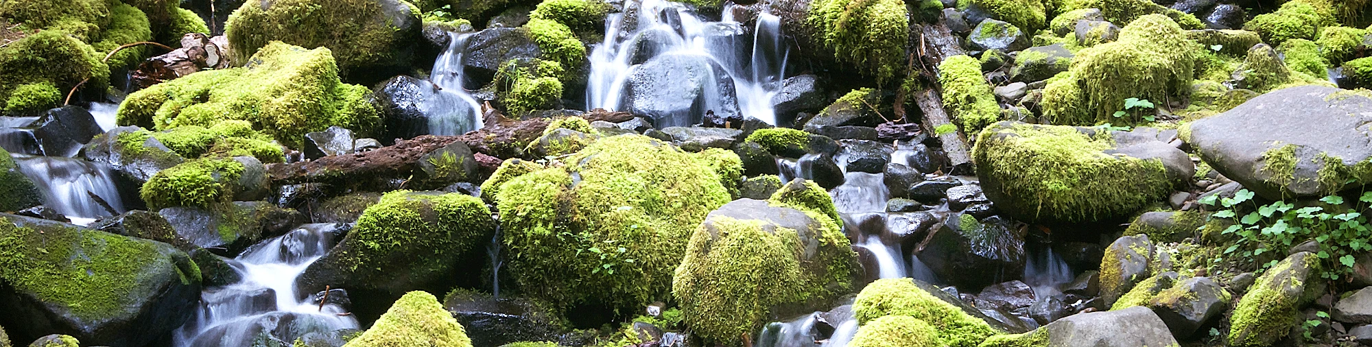 zur Startseite: DGL e. V.