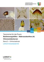 Deckblatt Orthocladiinen