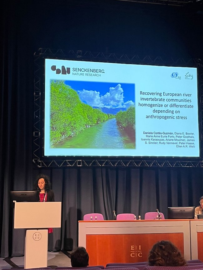 Foto Cortes beim Vortrag