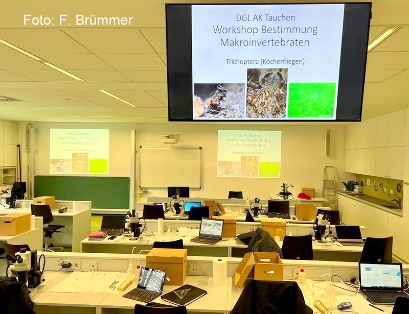 Bestimmungskurs Makroinvertebraten Bestimmungskurs Makroinvertebraten