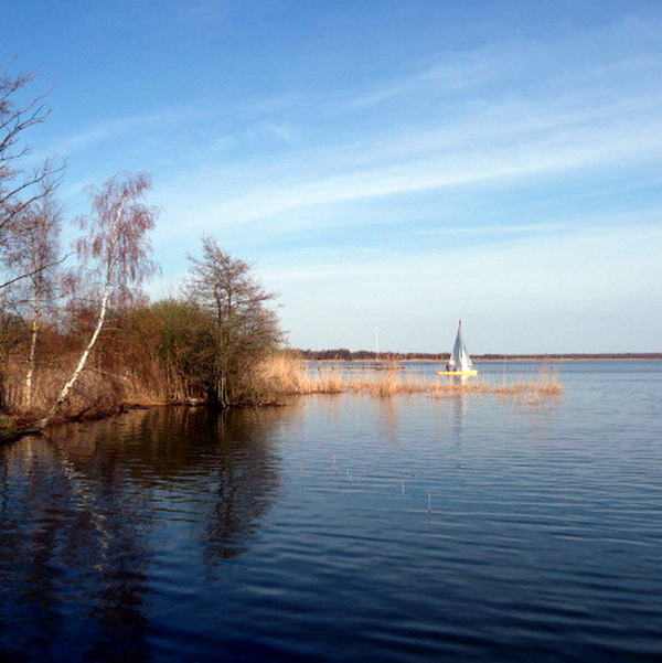 Seeufer am Steinhuder Meer