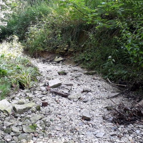 Foto ephemeres Gewässer