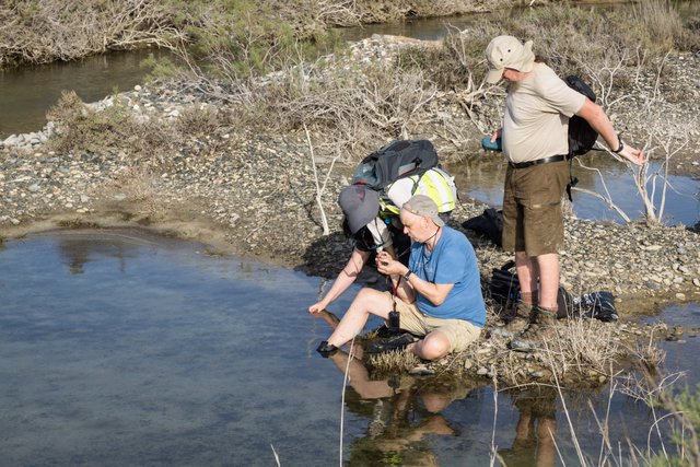 Exkursionsteilnehmer untersuchen eine Kiesgrube mit Lamprothamnium papulosum Exkursionsteilnehmer untersuchen eine Kiesgrube mit Lamprothamnium papulosum