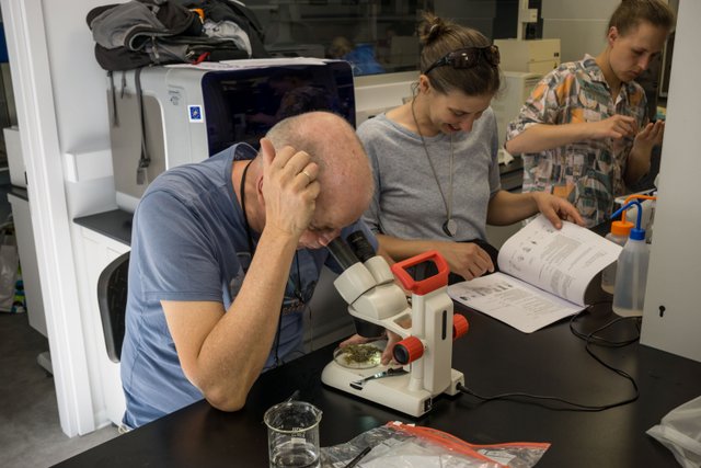 Bestimmung von gesammeltem Material in der Frederick University Bestimmung von gesammeltem Material in der Frederick University