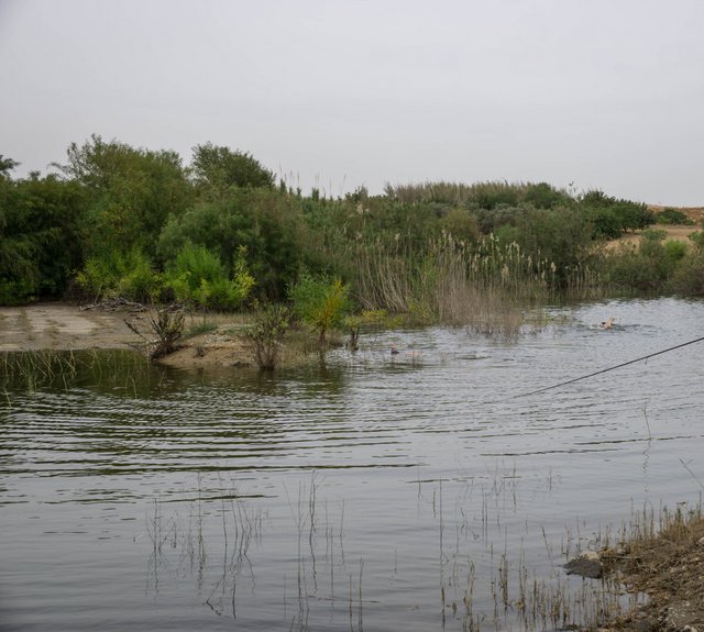 Achna-Damm Achna-Damm