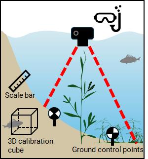 Versuchsaufbau. Schema angepasst nach Carrivick & Smith Versuchsaufbau. Schema angepasst nach Carrivick & Smith