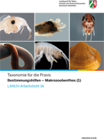 Deckblatt Arbeitsblatt 14