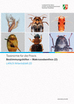 Deckblatt Kaferbestimmungsschlüssel