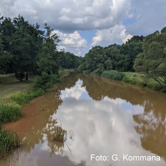 Foto der braunen Spree